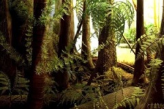  Karbon (Carboniferous) 360 Mio. Jahre